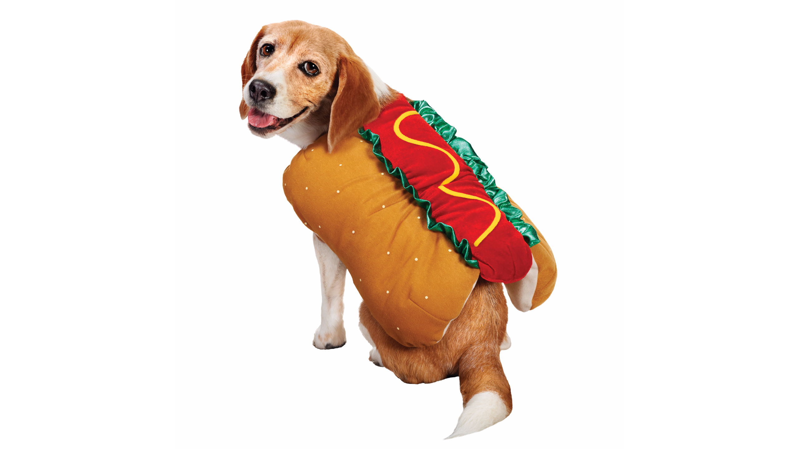 The Cutest Halloween Pet Costumes Ever (Like, Ever) FabFitFun